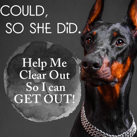 LIVE SHOW LISTING! LIKE TO BE NOTIFIED! SHARE EVERYWHERE! - Picture 2 of 3